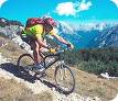 Mountainbike Südtirol Radfahren
